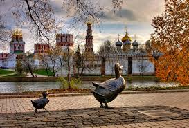 COVIкулы